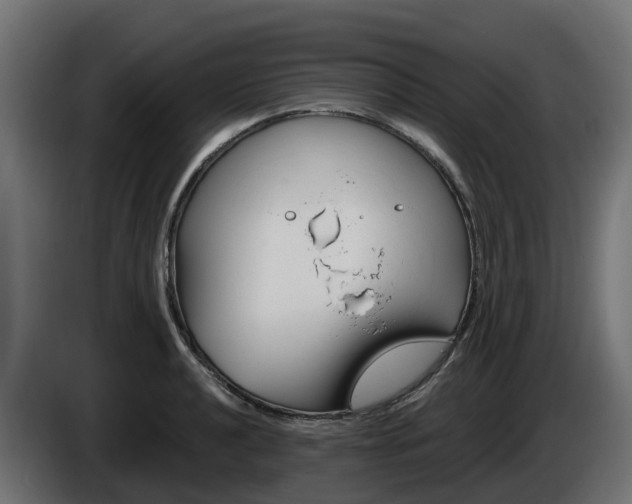 X0000086321040200704131649