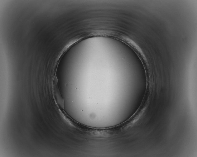 X0000086321041200704131649