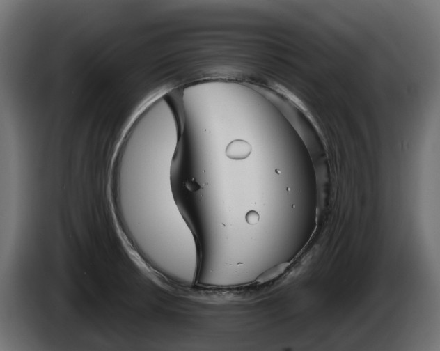 X0000086321042200704131649