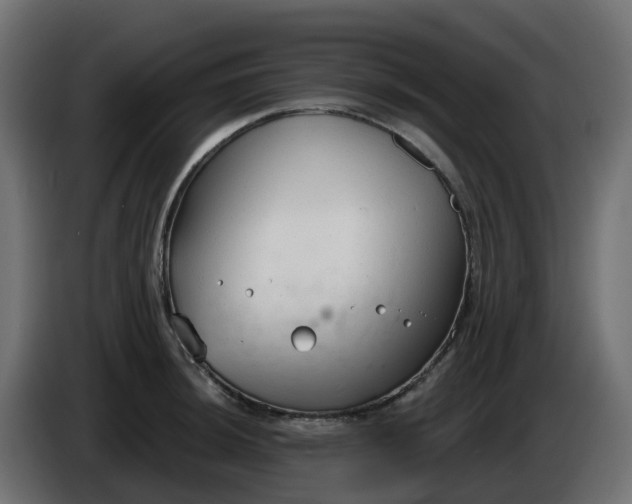 X0000086321044200704131649