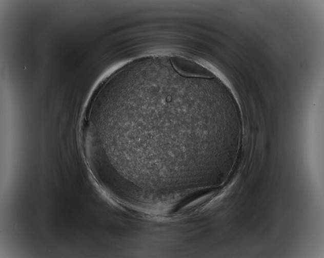 X0000086321045200704131649