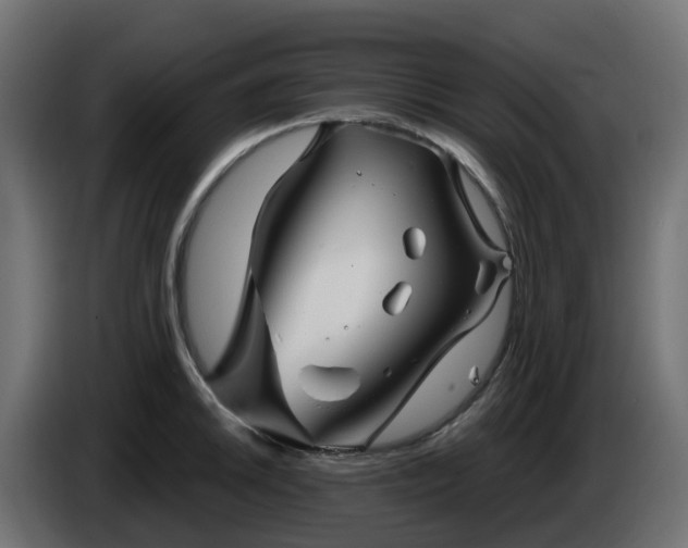 X0000086321046200704131649