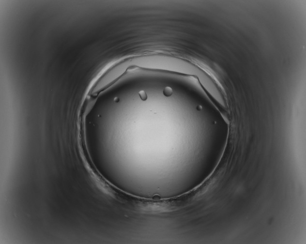 X0000086321047200704131649