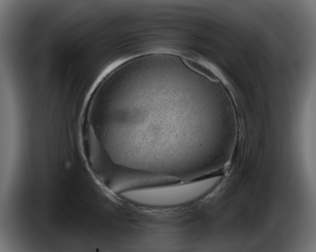 X0000086321048200704131649