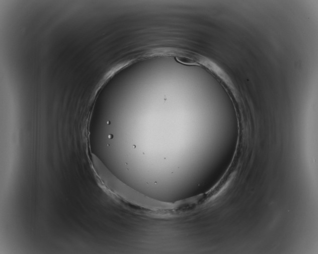 X0000086321049200704131649