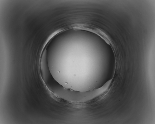 X0000086321050200704131649