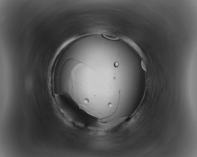 X0000086321051200704131649