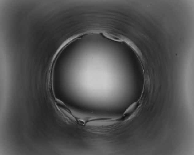 X0000086321052200704131649