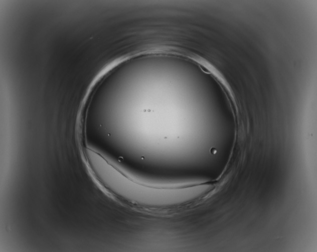 X0000086321053200704131649