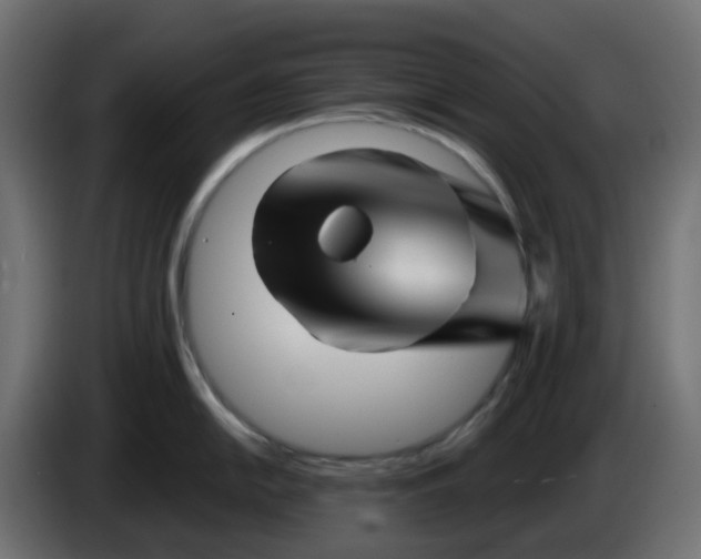 X0000086321054200704131649