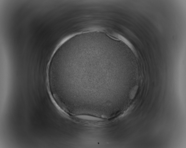 X0000086321055200704131649