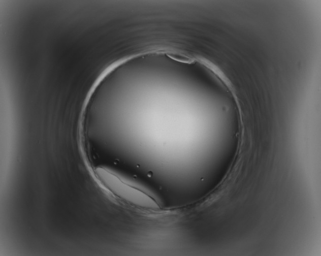 X0000086321056200704131649