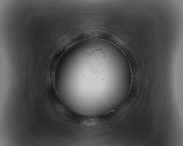 X0000086321058200704131648