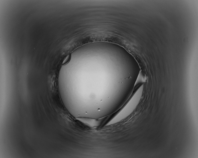 X0000086321059200704131648