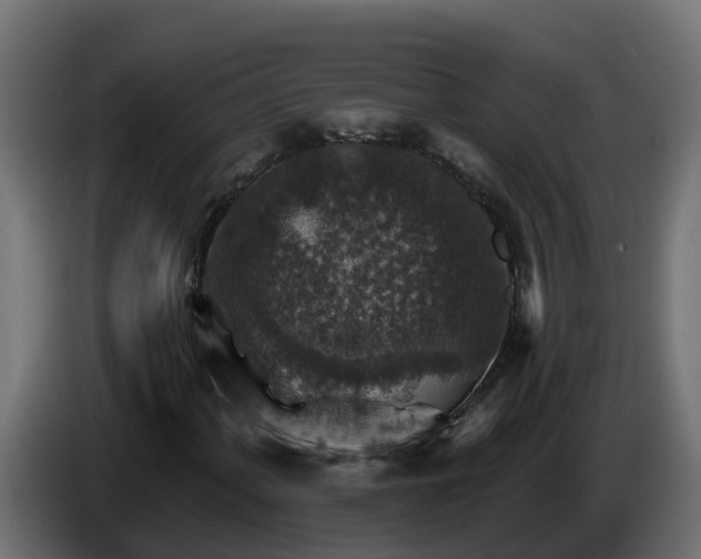 X0000086321060200704131648