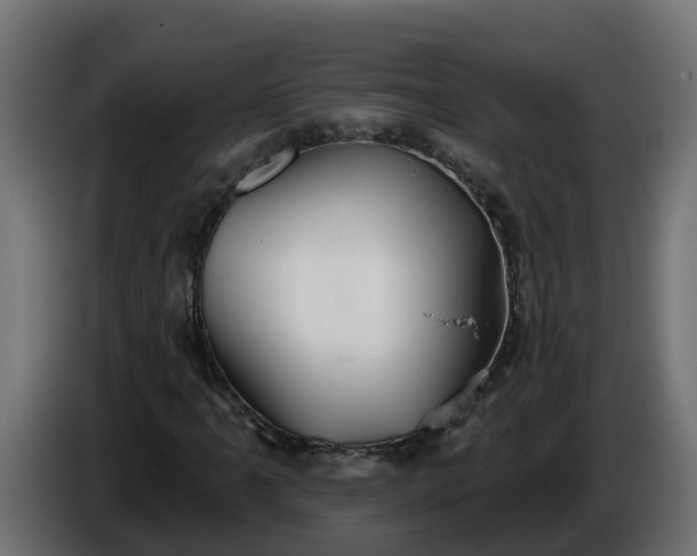 X0000086321061200704131648