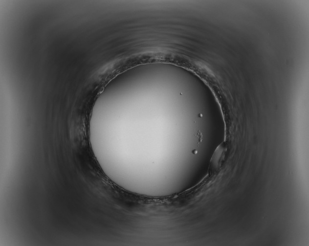 X0000086321062200704131648