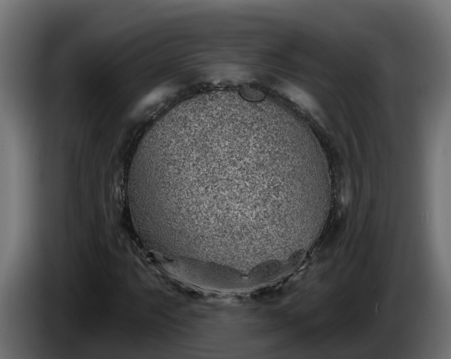 X0000086321063200704131648