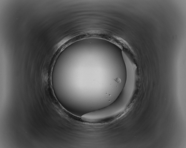 X0000086321065200704131648