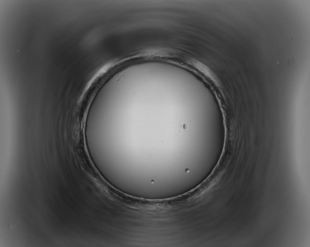 X0000086321067200704131648