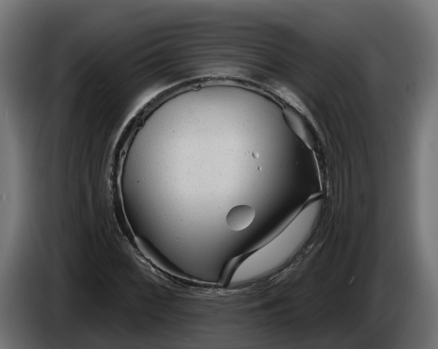 X0000086321068200704131648