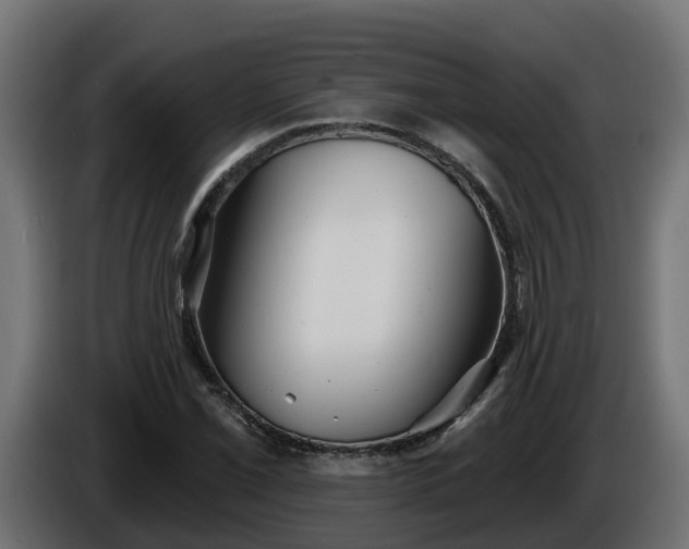 X0000086321069200704131648