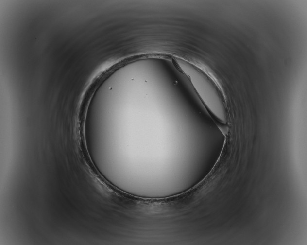 X0000086321072200704131648