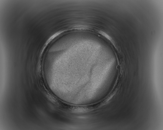 X0000086321074200704131648