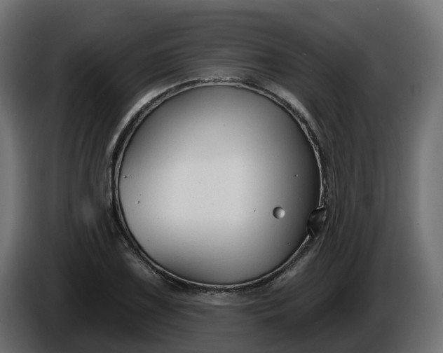 X0000086321075200704131648