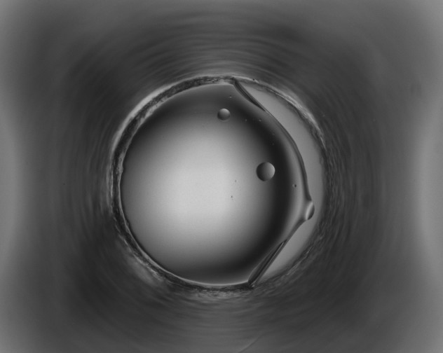 X0000086321076200704131648