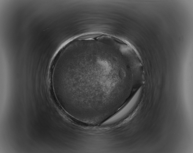 X0000086321077200704131648