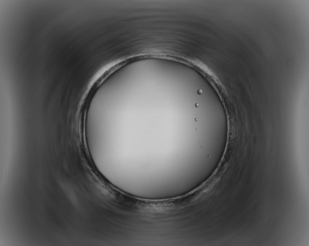 X0000086321078200704131648