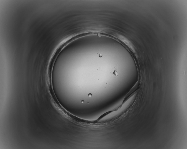 X0000086321080200704131648