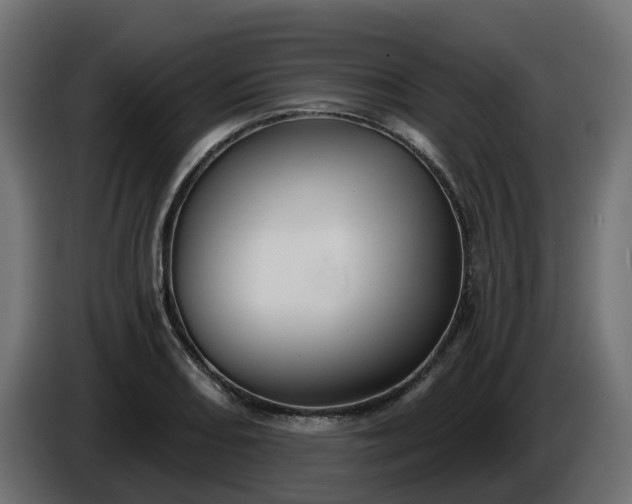 X0000086321082200704131648