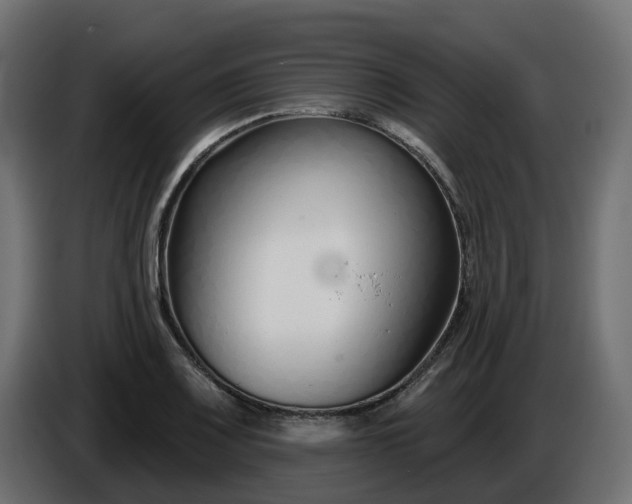 X0000086321083200704131648