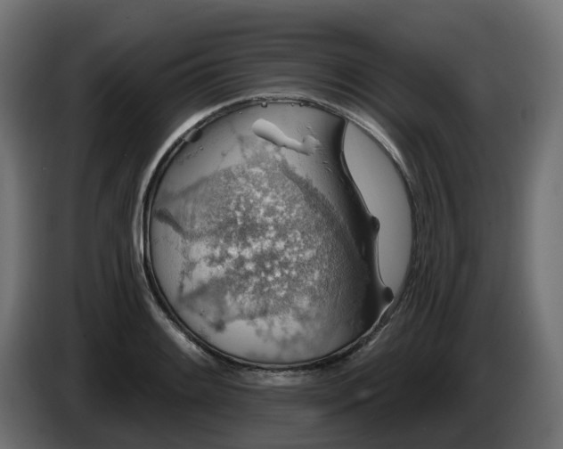 X0000086321084200704131648