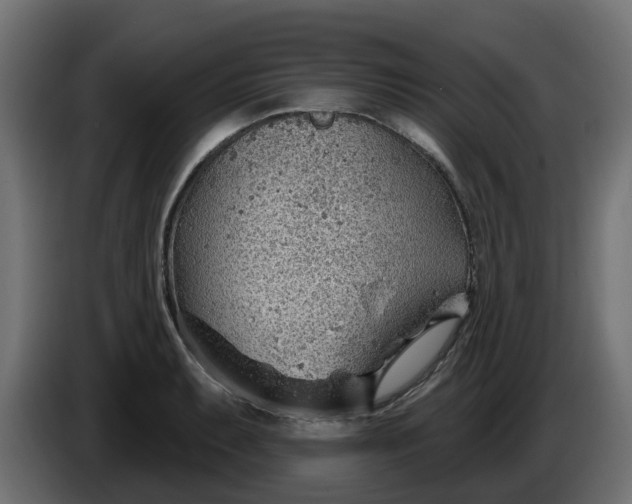 X0000086321087200704131648