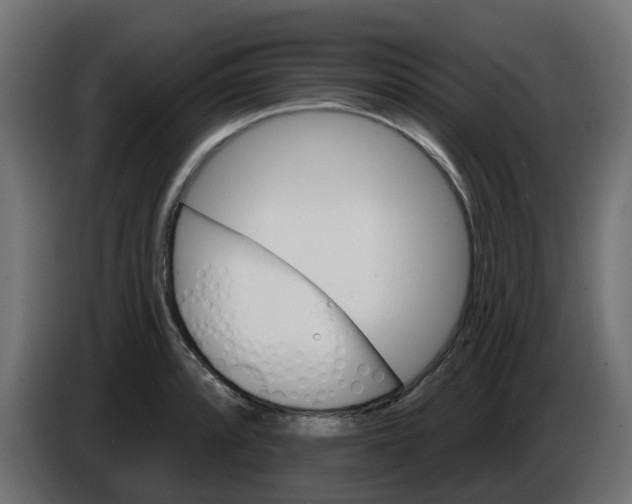 X0000086321088200704131648