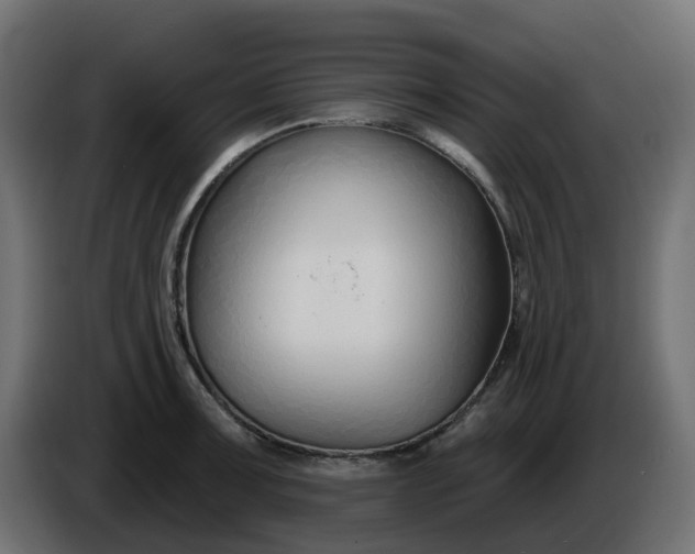 X0000086321091200704131648