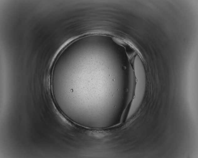 X0000086321092200704131648