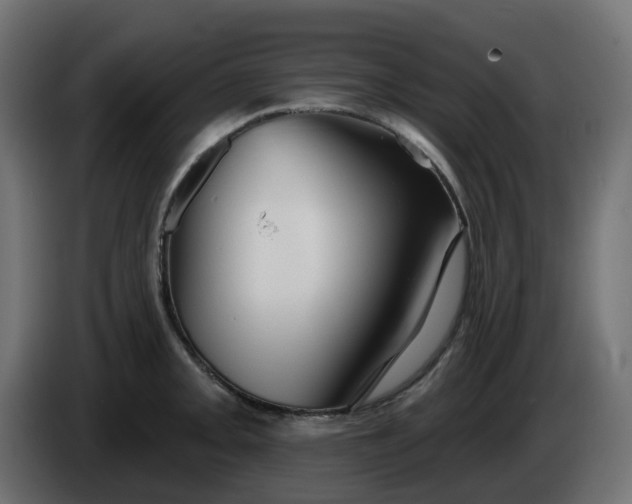 X0000086321093200704131648