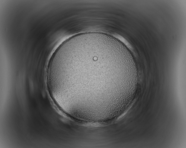 X0000086321094200704131648