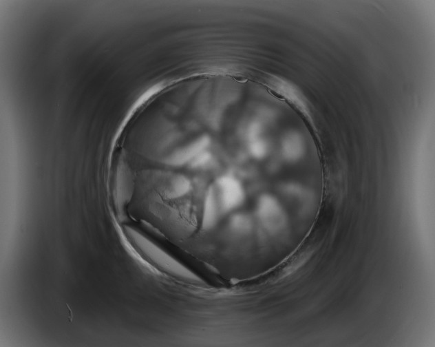 X0000086321095200704131648