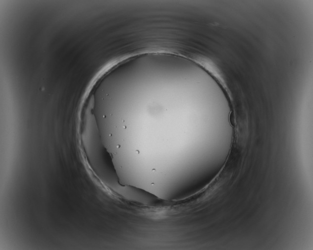 X0000086321096200704131648