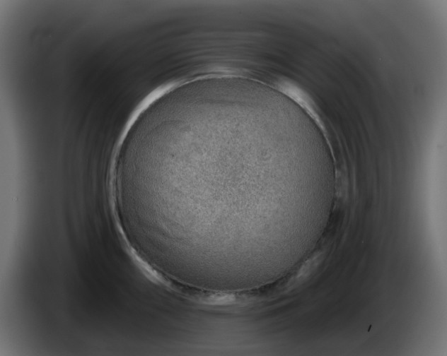 X0000086321098200704131648