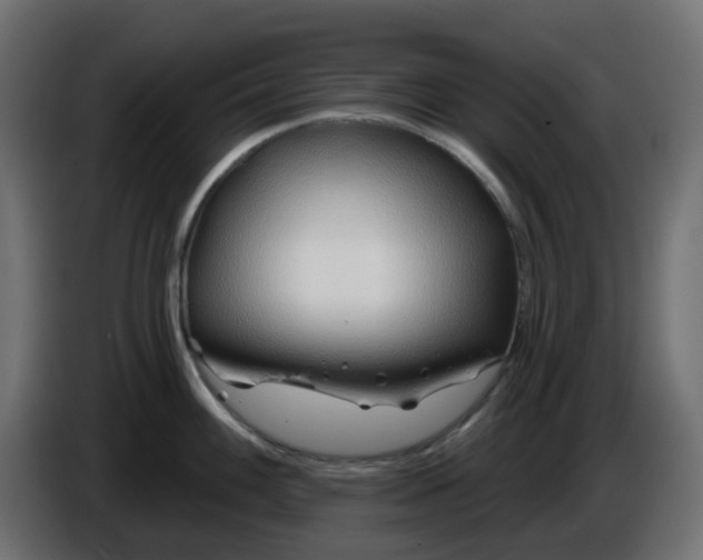 X0000086321100200704131648