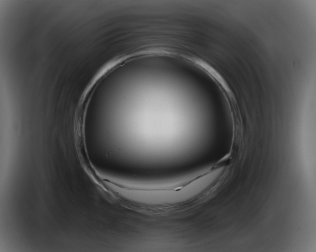 X0000086321101200704131648