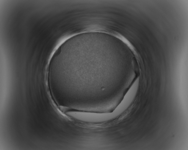 X0000086321102200704131648