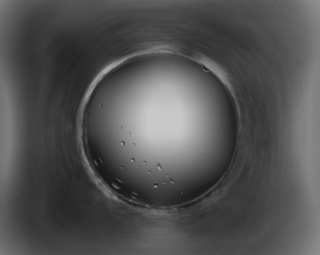 X0000086321104200704131648