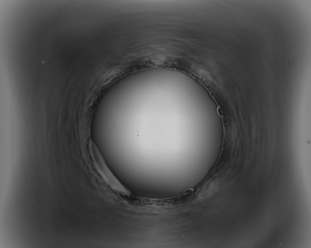 X0000086321105200704131647